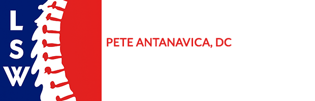 logo footer